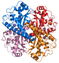 Profile Picture of Superoxide dismutase - Wikipediaon Wikipedia