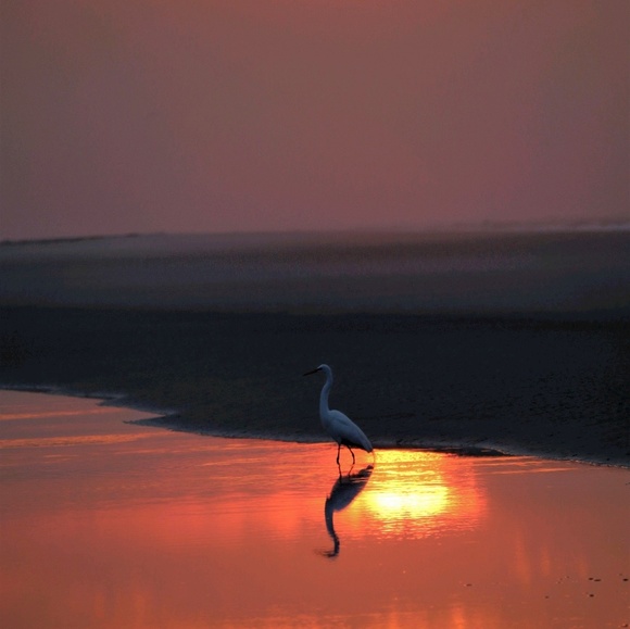 Profile Picture of Cindy Stowell (@cindystowell) on Poshmark