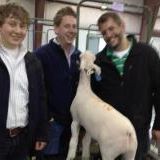 Profile Picture of Eric Shellhouse (@ohioeric) on Pinterest