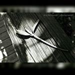 Profile Picture of Mark Farrington (@farringtonmark) on Instagram