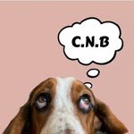 Profile Picture of Colin (@colin_nose_best) on Instagram