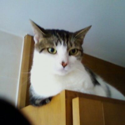 Profile Picture of James Vespa (@jlv807) on Twitter