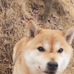 Profile Picture of 김형섭 (@김형섭) on Facebook