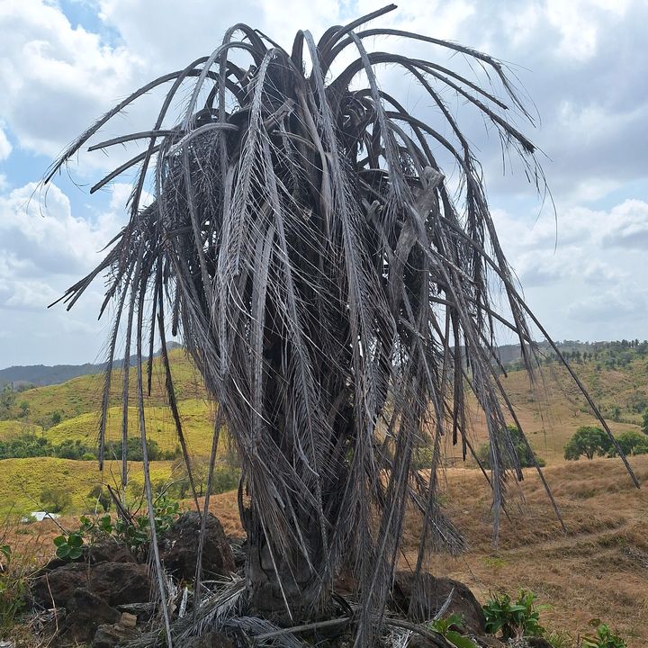 Profile Picture of Andrew carpin (@carpin7hehjjruj) on Tiktok