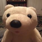 Profile Picture of Sven Peterson (@sven.peter.icebear) on Instagram