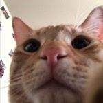 Profile Picture of joe (@joelle.mccue) on Instagram