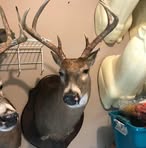 Profile Picture of William Kiner (@william.kiner.3) on Facebook