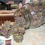 Profile Picture of Carlos Hampton (@king_kush1020_97) on Instagram