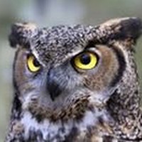 Profile Picture of Kevin Manchester (@kevin-manchester-2) on Quora