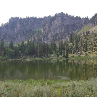 Dustin Schofield - Twitter Profile Picture of Dustin Schofield (@dscho00) on Twitter