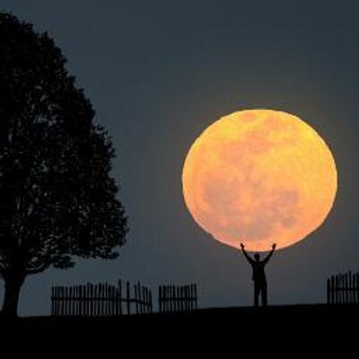 Profile Picture of Miriam G. Sáenz E.M (@2973E) on Twitter