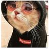 Profile Picture of Joshua Kuehl (@@joshuakuehl) on Tiktok