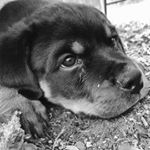 Profile Picture of michael (@michael_govin) on Instagram