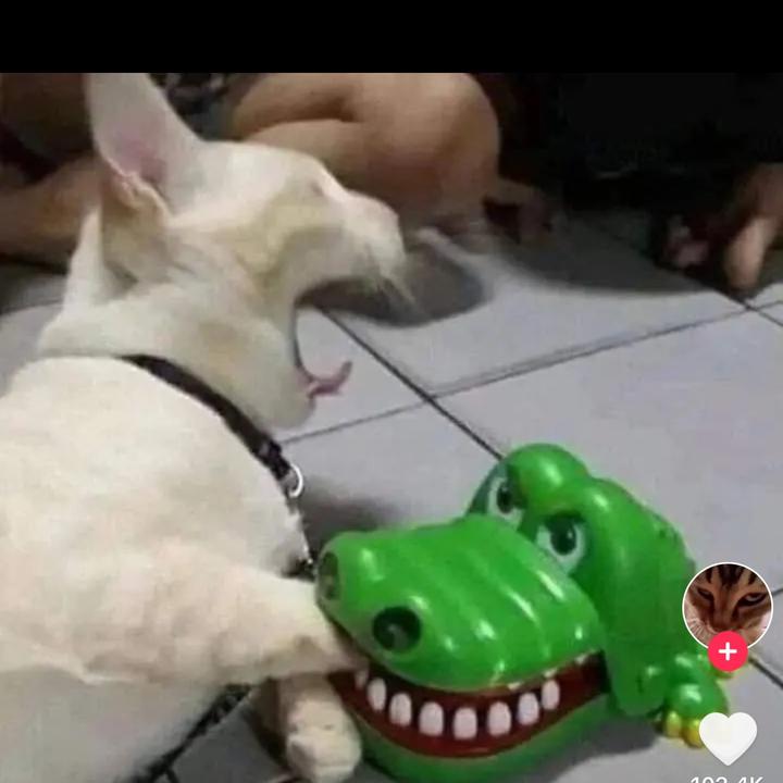 Profile Picture of Johan Alvarado (@johan.1208) on Tiktok