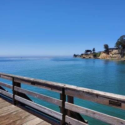 Profile Picture of Tom Polanski (@polanski_tom) on Twitter