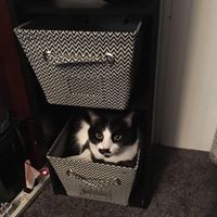 Profile Picture of Brenda Roberts (@brenda-roberts-67) on Quora