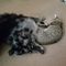Profile Picture of Mary Jo Behm (@maryjo.behm) on Facebook