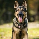 Profile Picture of Alex Becker (@alexbecker202312) on Instagram