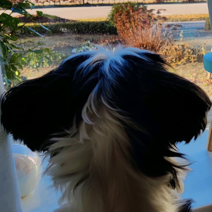 Profile Picture of Mark Manning (@markm038) on Tiktok