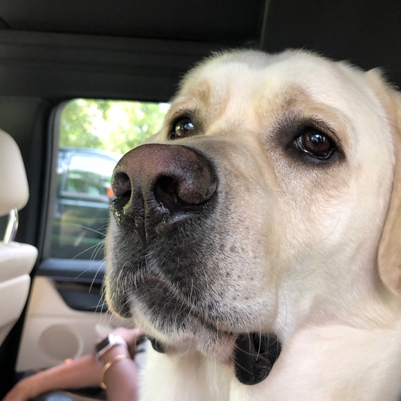 Profile Picture of Curran Aiyer (@cpaiyer) on Poshmark