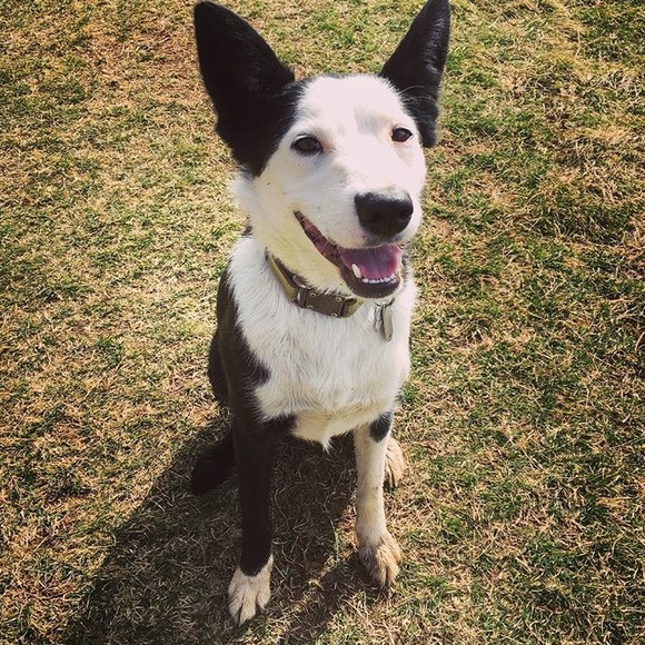 Profile Picture of Zoë Kaltenbach (@zoewavvyy) on Poshmark