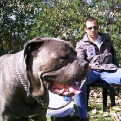 Profile Picture of Anthony Morais (@tounss06) on Twitter