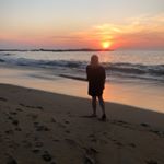 Profile Picture of ALICIA LEVINÉ LILJEROOS (@alicialinnea) on Instagram