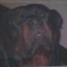 Profile Picture of Christophe Torregrossa (@Christophe-Torregrossa) on Facebook