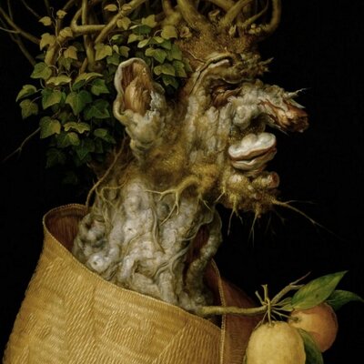 Profile Picture of Colette Wheeler (@WheelerColette) on Twitter