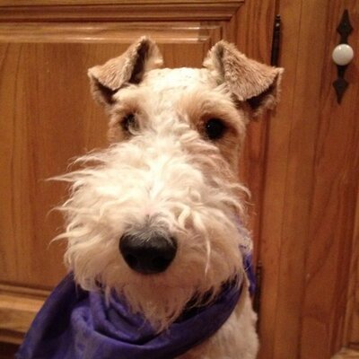 Profile Picture of Jim Schum (@JimSchum) on Twitter