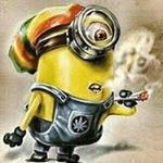 Profile Picture of David Nový (@daviddiablonovy) on Instagram