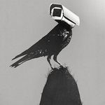 Michael Archer - Instagram Profile Picture of Michael Archer (@riotquiet999) on Instagram