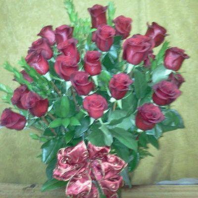 Profile Picture of Lisa Ontiveros (@946882b6b7ef4bd) on Twitter