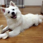 Profile Picture of Nathanael Caleb Goh (@nat11028) on Instagram