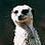 Profile Picture of emmeffe6 (@emmeffe6) on Flickr