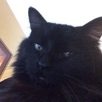 Stacie Hawley - Twitter Profile Picture of Stacie Hawley (@HawleyStacieA) on Twitter