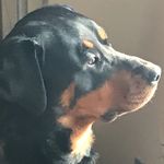 Profile Picture of Samantha Tester (@samtester1234) on Instagram