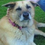 Profile Picture of marc_lustig (@marc_lustig) on Instagram