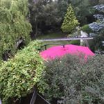 Profile Picture of Simon Coombs (@coombs506) on Instagram