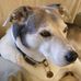 Profile Picture of Sammy Rolfe (@sammy.rolfe.56) on Facebook