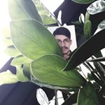 Profile Picture of Rodolfo Acosta Castro (@rodolfo_acosta_castro) on Instagram