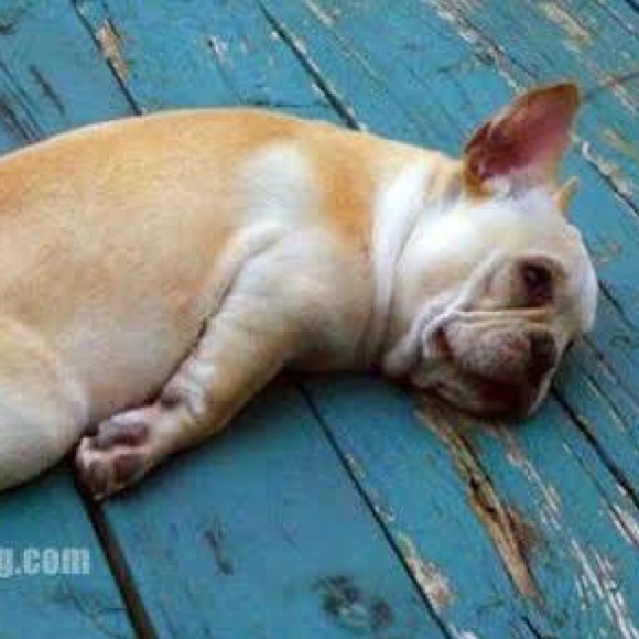 Profile Picture of Fred Mellon (@fred_mellon) on Poshmark