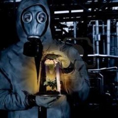 Profile Picture of Andre Beauchamp (@AndreBeau1998) on Twitter