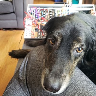 Profile Picture of Octo.jon (@jstapes) on Twitter