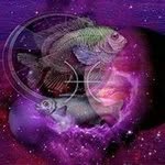 Profile Picture of Martha Weaver (@weavermartha) on Instagram