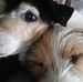 Profile Picture of Kathy Dwornik (@kathy.dwornik) on Facebook