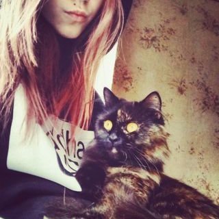 Profile Picture of Ada Evans (@AdaEvan5974350) on Twitter