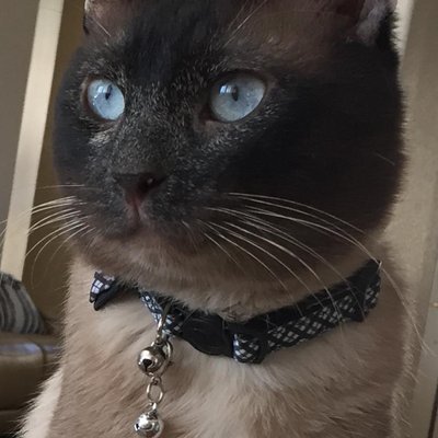 Profile Picture of Joyce Huff (@JoyceHu82588380) on Twitter