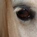 Profile Picture of Jennifer Vazzana Paynter (@oneifreak) on Pinterest