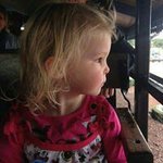 Profile Picture of Robert Stables (@stablesrobert) on Instagram